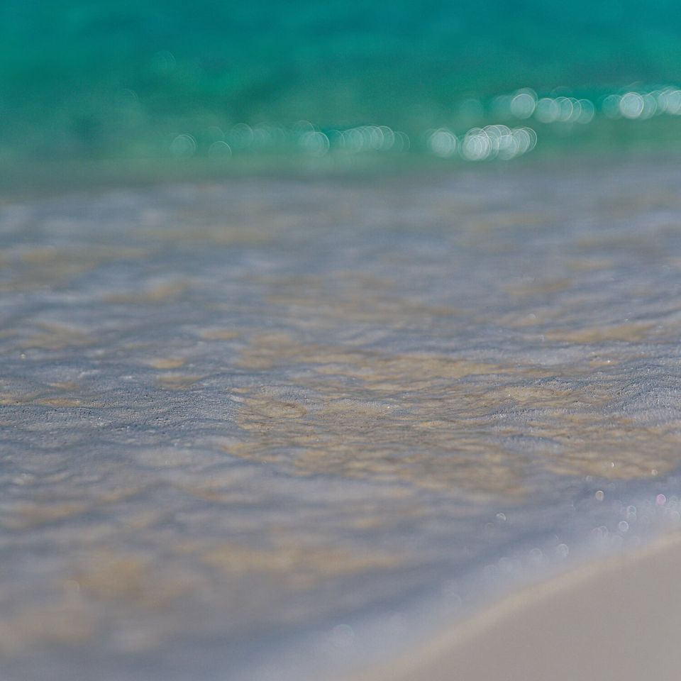 Image asset 4