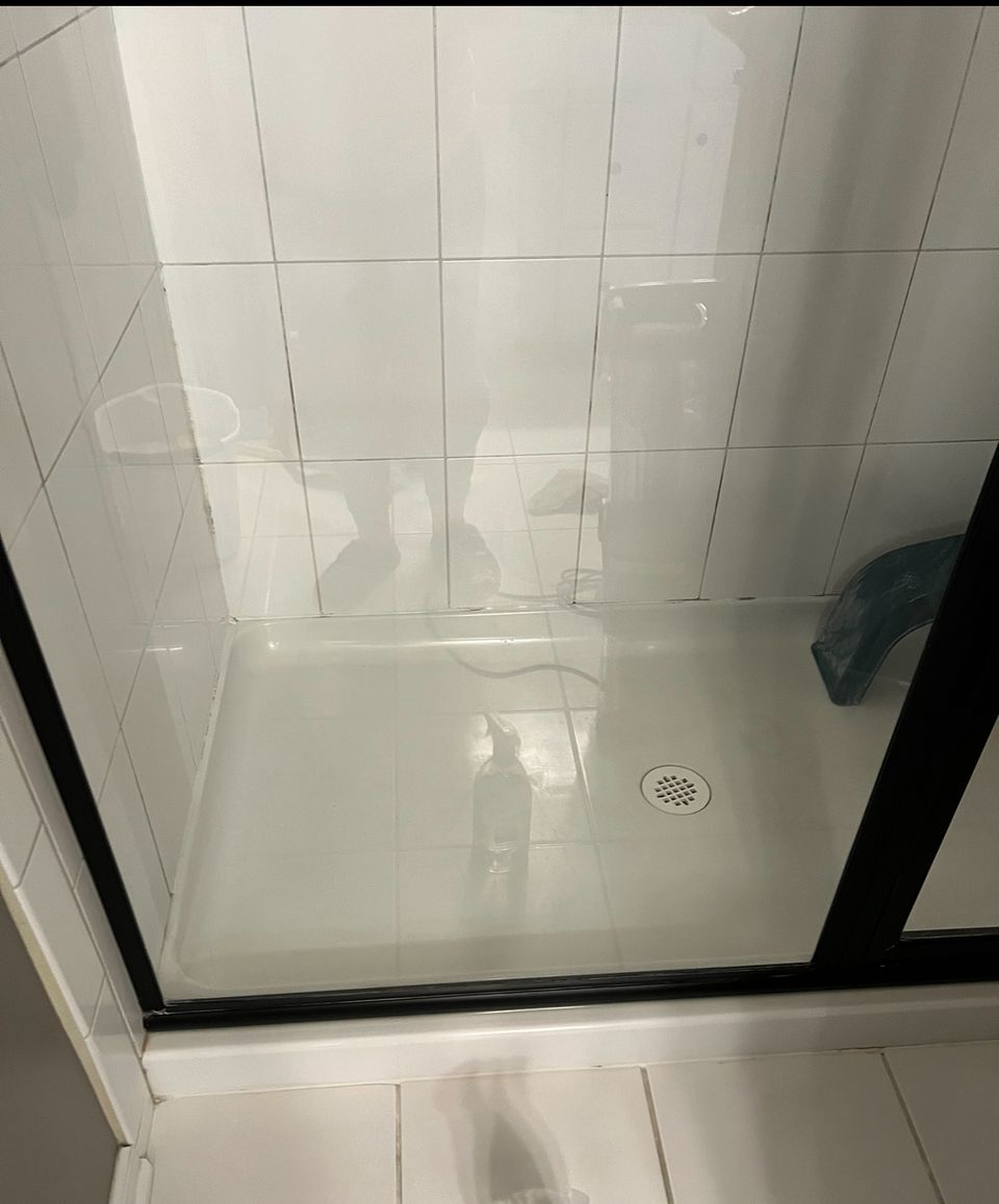 Img 1568