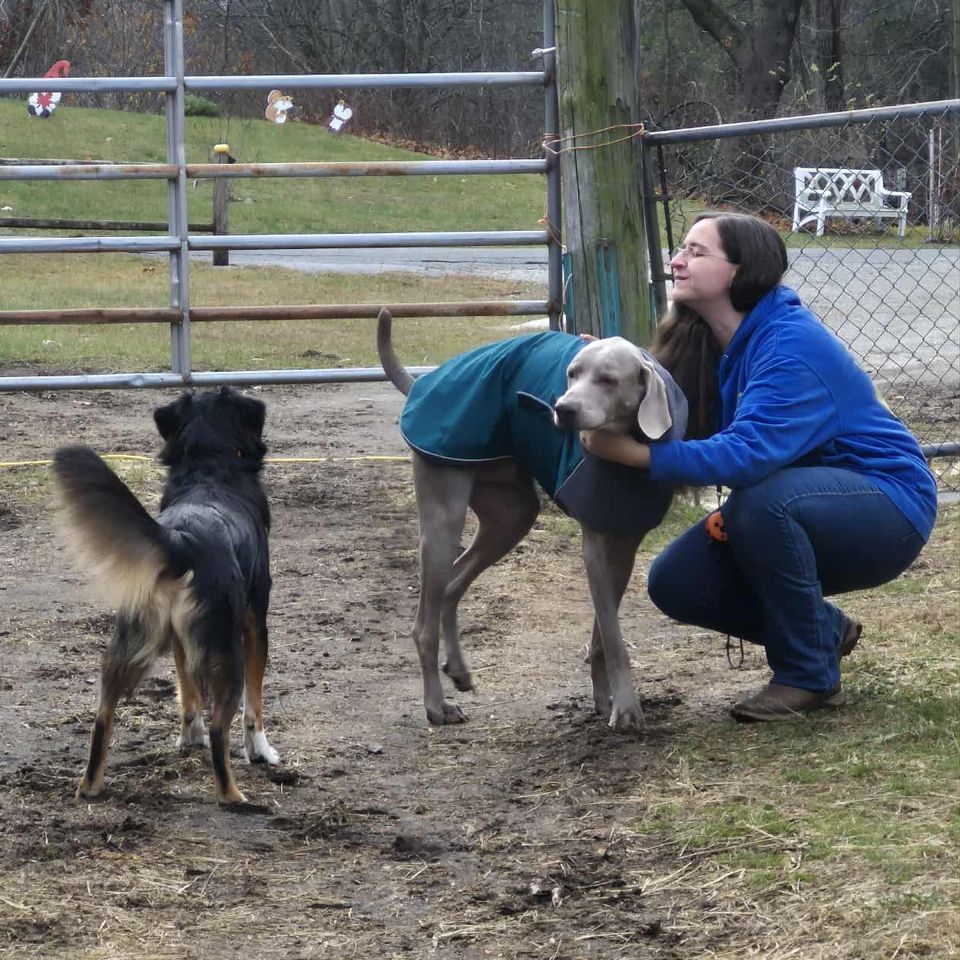 Messenger creation 05c63649 12db 49d3 8dea acf95cd4d245