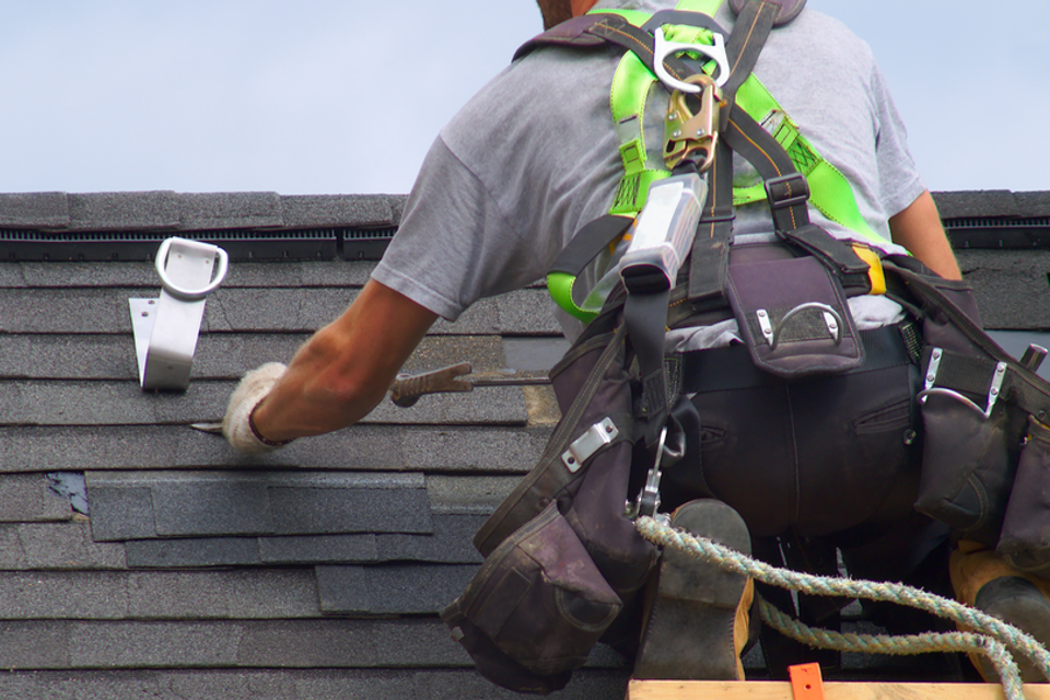 8d1bd6d5 1e36 46cc a388 14d97edeb78b