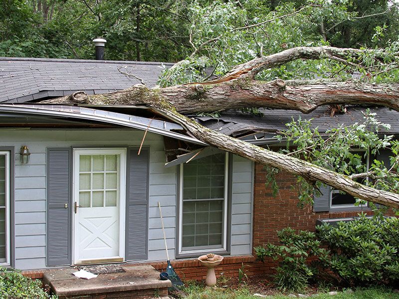 Roof storm damage raleigh nc