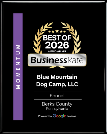 Award plaque br598853 25