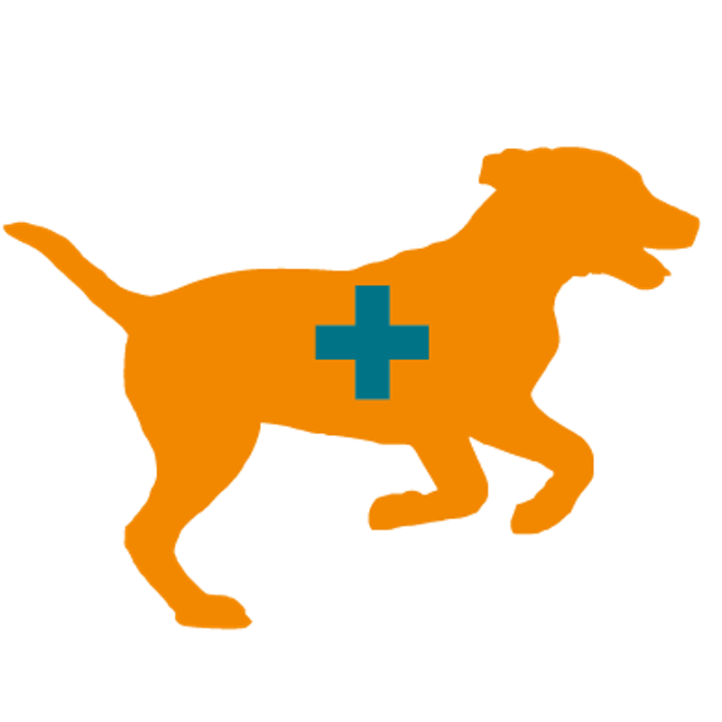 Veterinarian animal hospital near nixa mo james river animal hospital