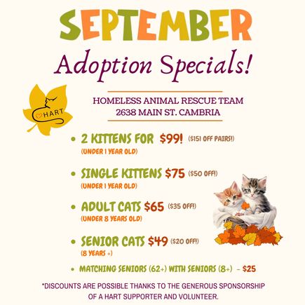 New new fall adoption specials (instagram post)