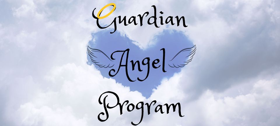 Guardian angel program (2000 x 900 px)