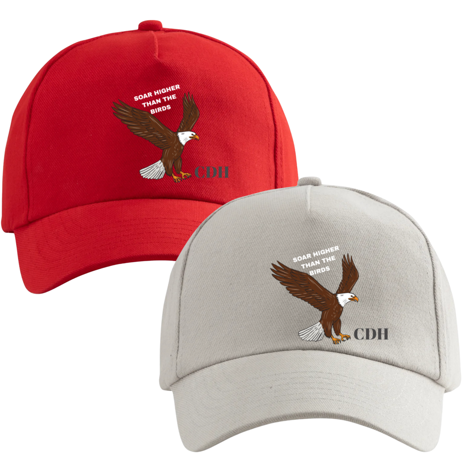 Eagles merch designs .zip   8