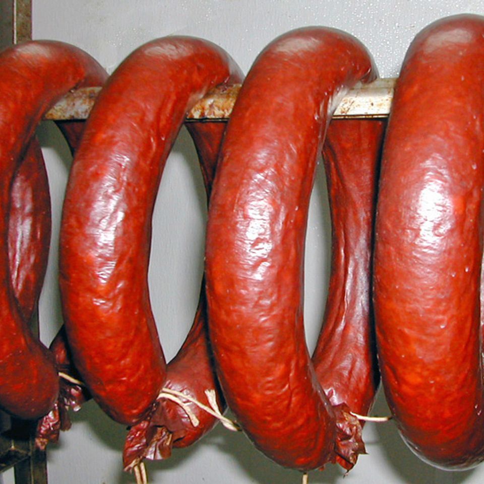 Ring bologna