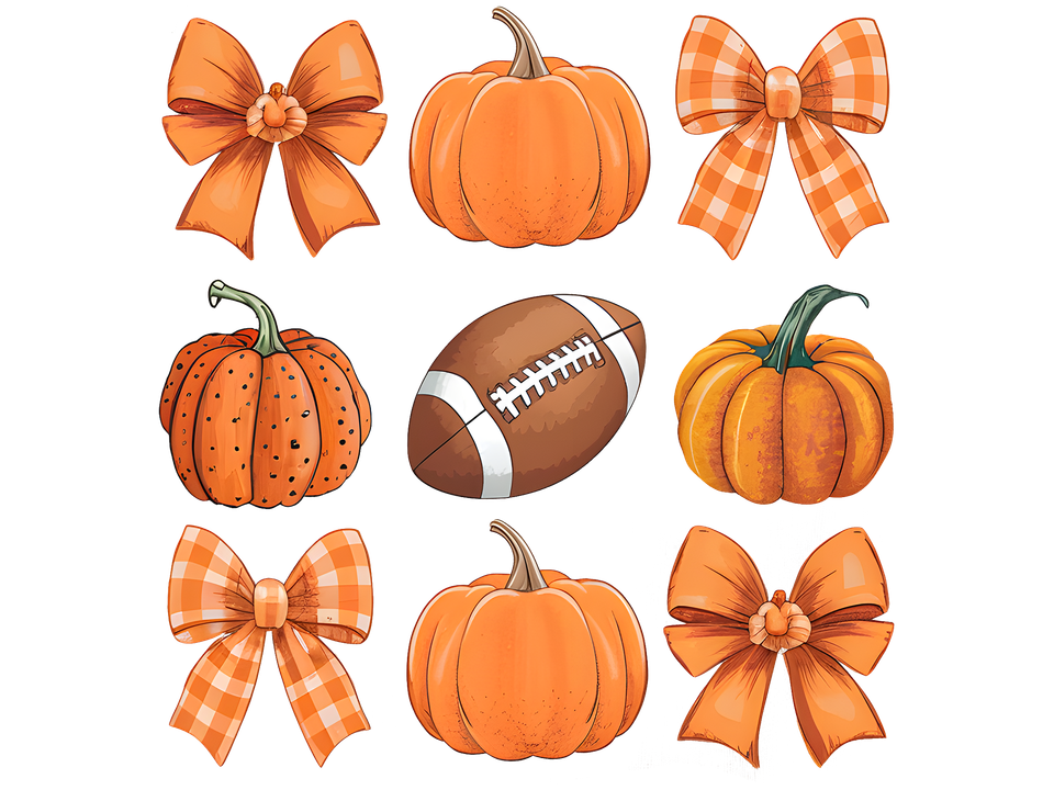 Seasons   fall pumpkins and football coquette 2