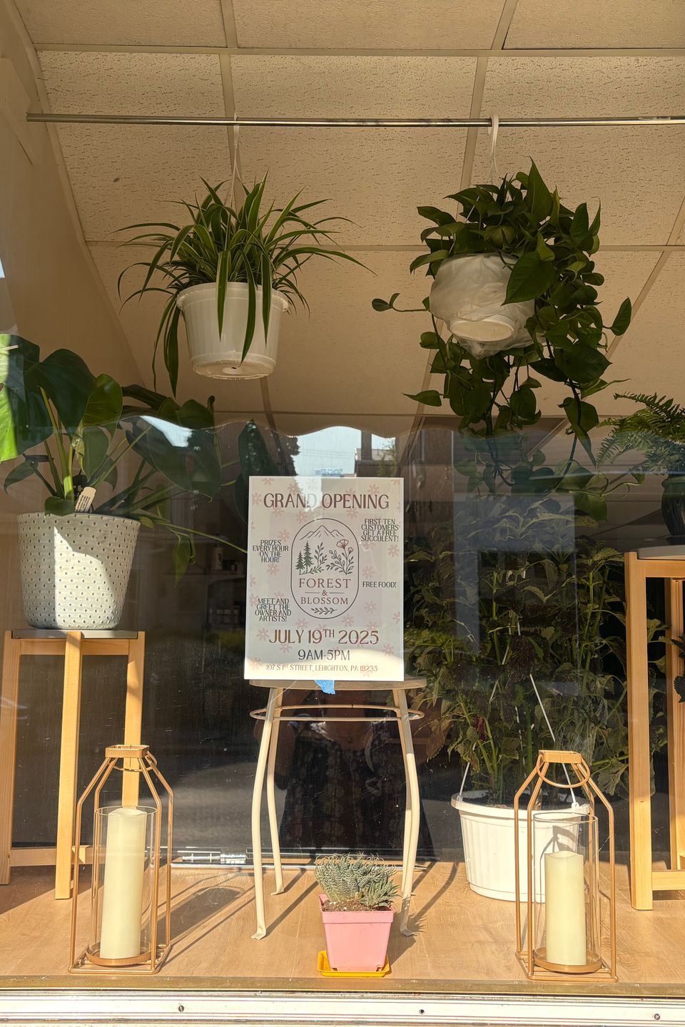 Plants in Front Window at Forest and Blossom