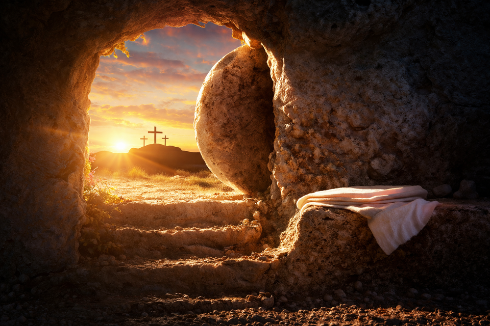 2ada200b f09f 4be1 ae0f ac71175f37fc