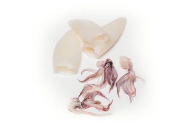 Squid tubes tentacles 3 5 5 8 1