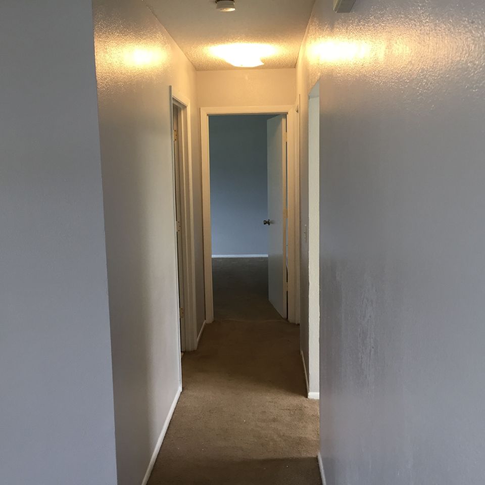 63 hickory hall