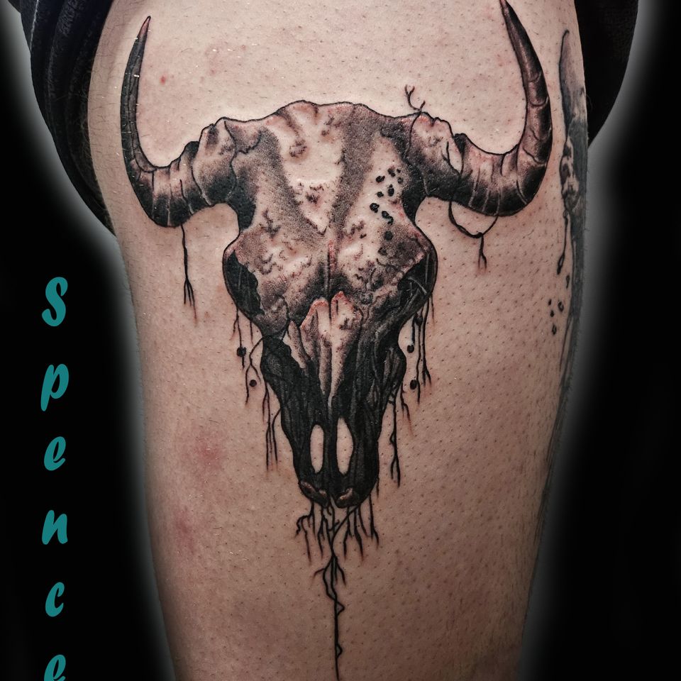 Spence cow skull