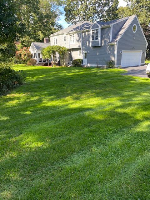 Sullivan front lawn restore photo after 1