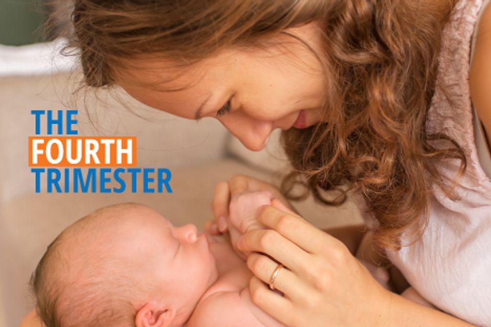 Fourth trimester1