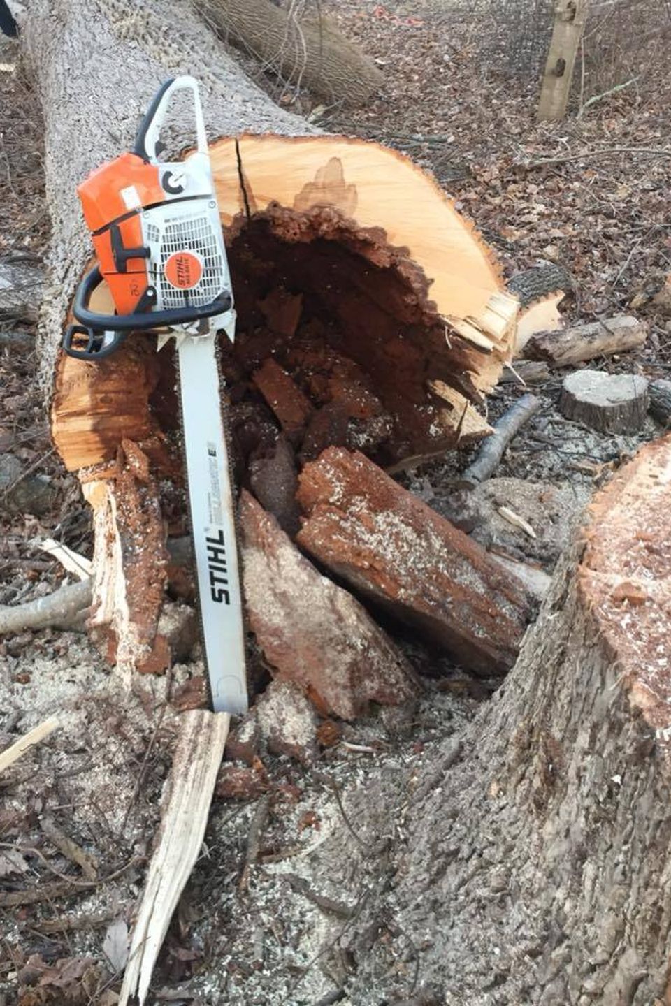 Chainsaw