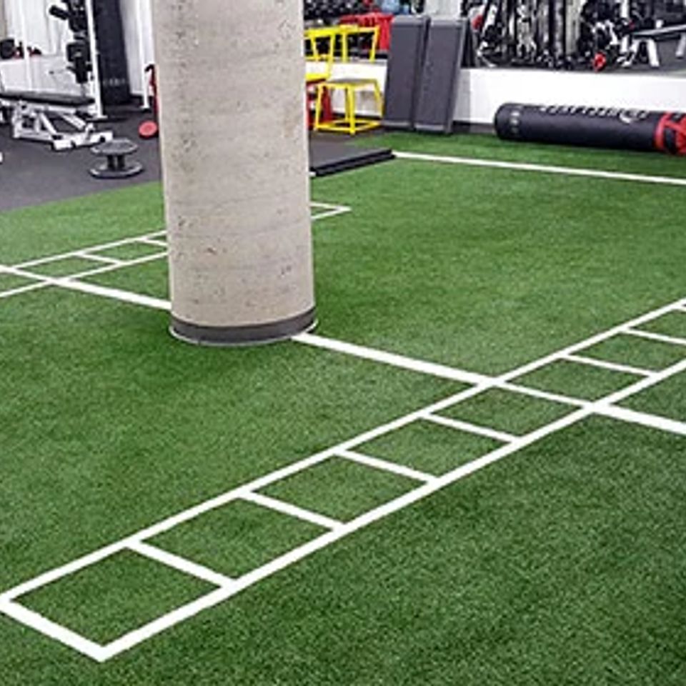 Oct19 artificial turf 1