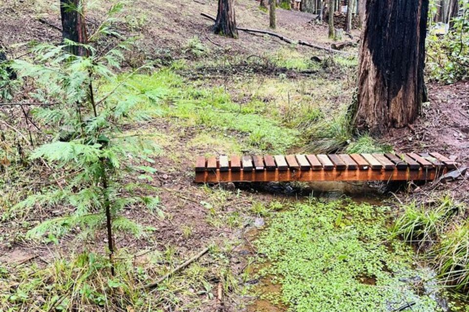 Creek bridge