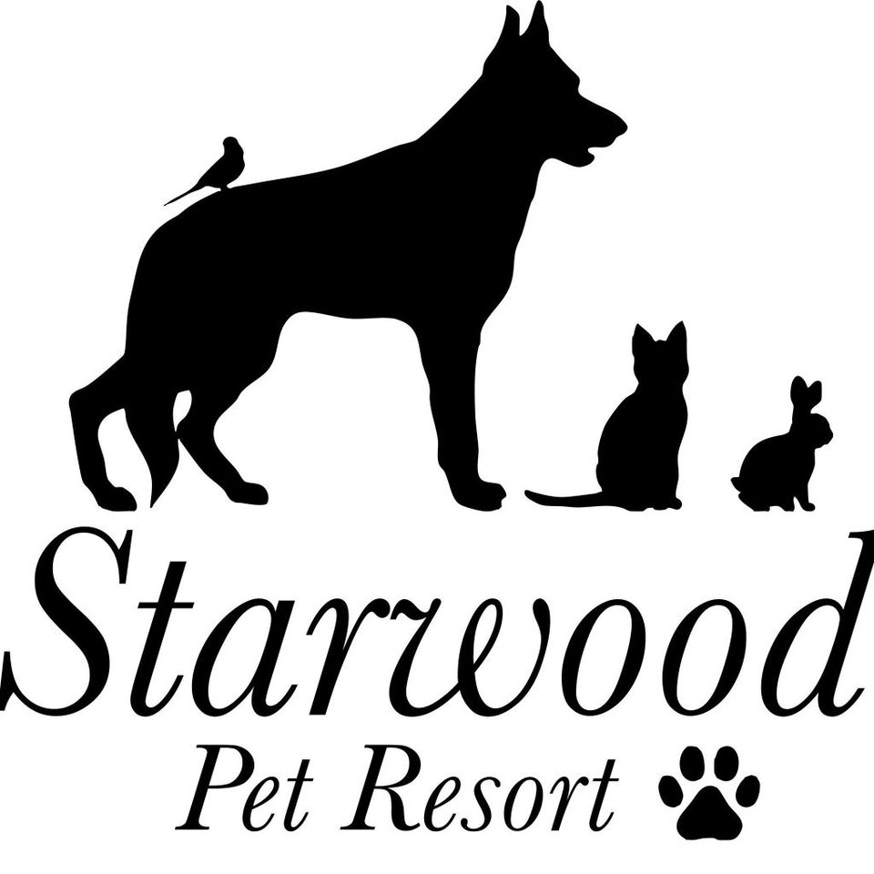 Starwood pet resort 1024x1024