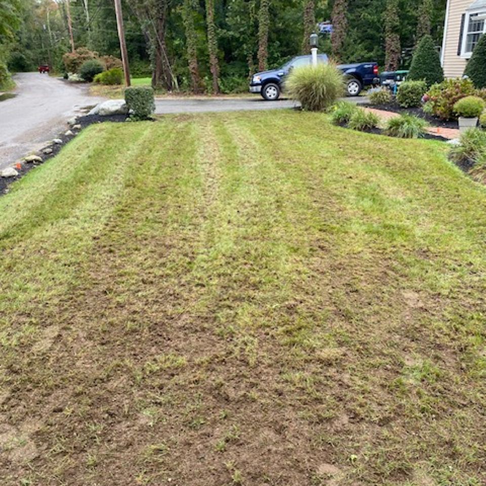 Sullivan front lawn restore photo before
