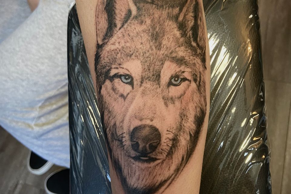 Image of a man's rear calf with a tattoo of a Husky dog in black and grey with piercing blue eyes and mountains and trees in the distant background