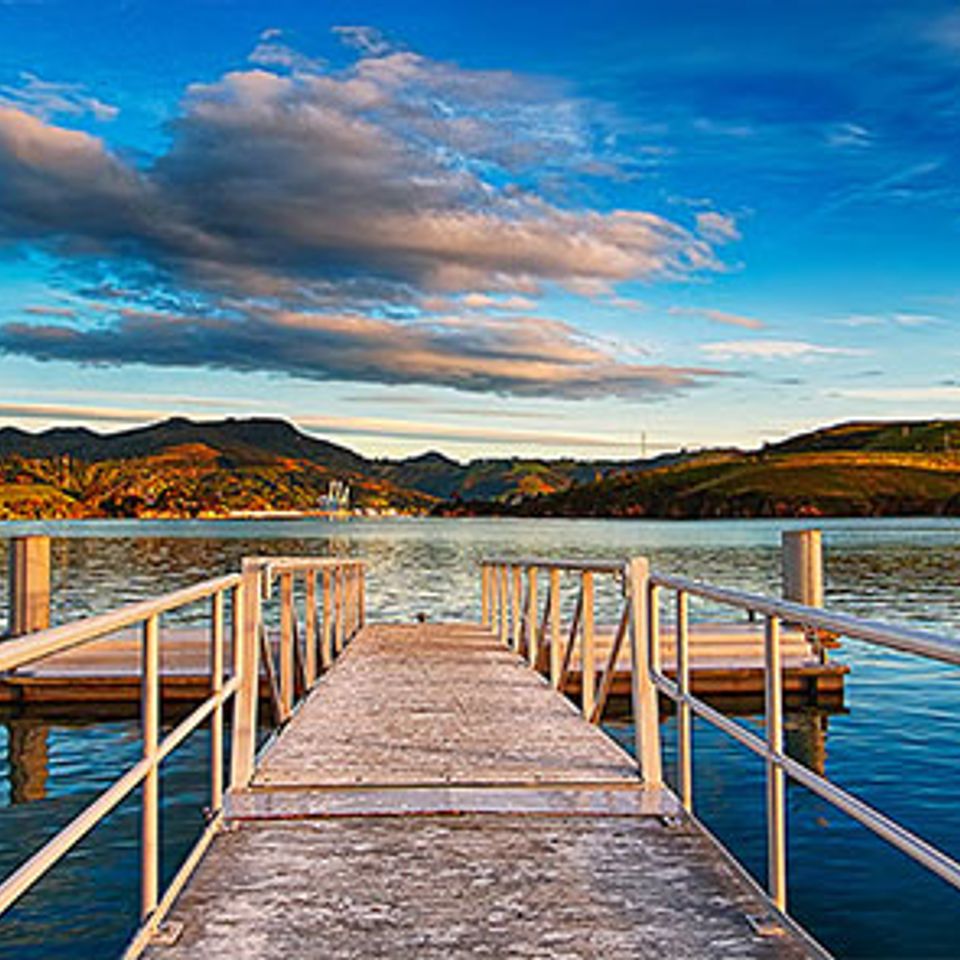 New zealand   5 days   4 nights   dunedin