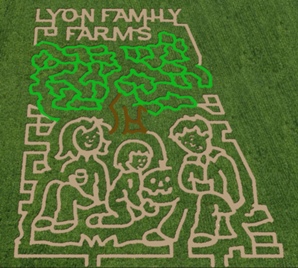Lyonfarms20150521 22870 dye0ge