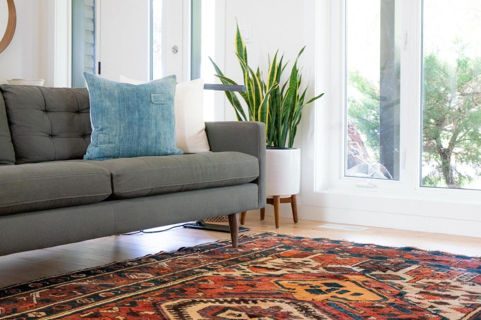 Modern living room with gray sofa, blue and white pillows, snake plant, large windows, and colorful patterned rug