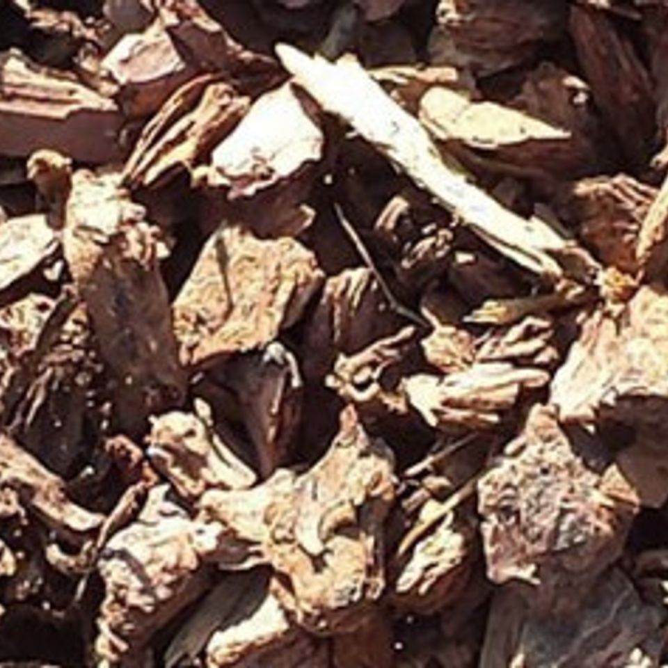 3 small bark (1)