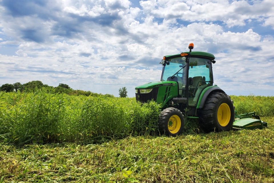 Bush hogging field scaled