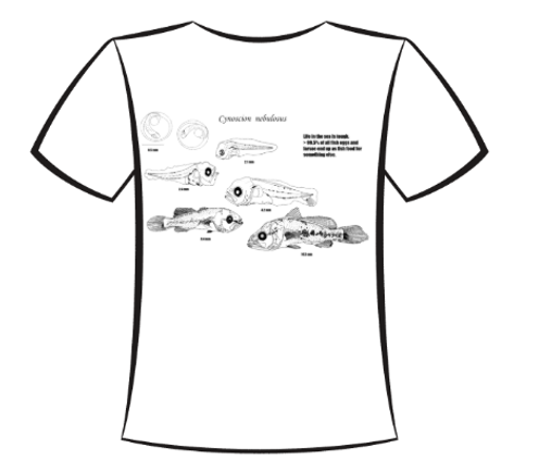 Screenshot 2025 10 27 090400