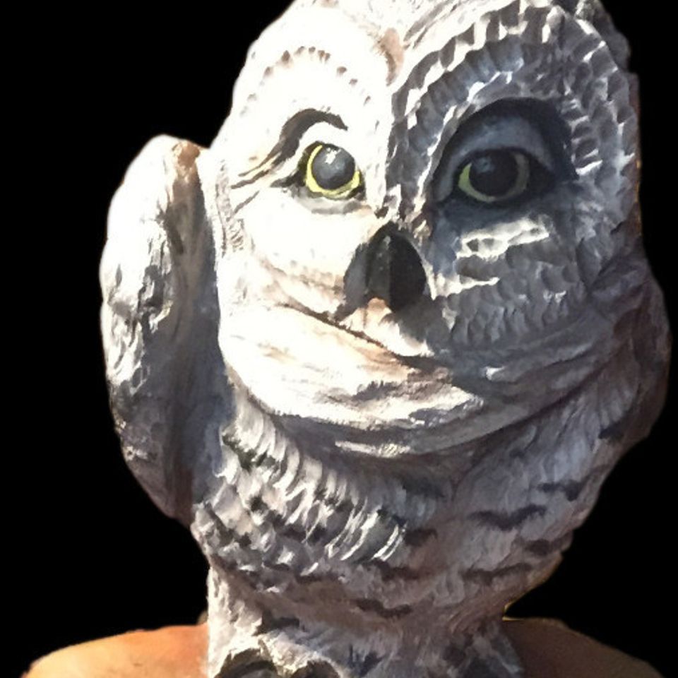 4ee8d96235b3449588536192059e838a