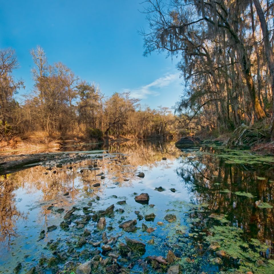 Rc autumn creek 2 