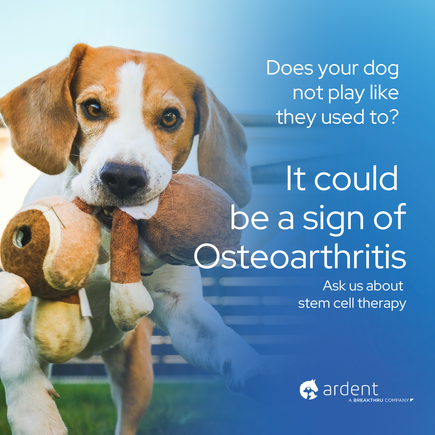 Ardent sm graphic arthritis5