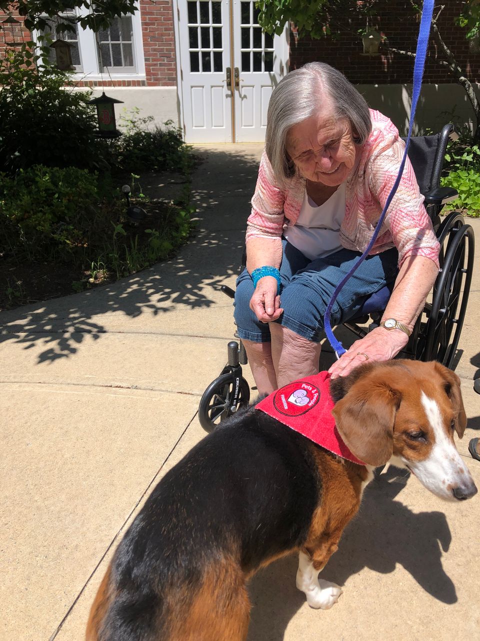 Anita forest enjoys a visit with therapy dog greta