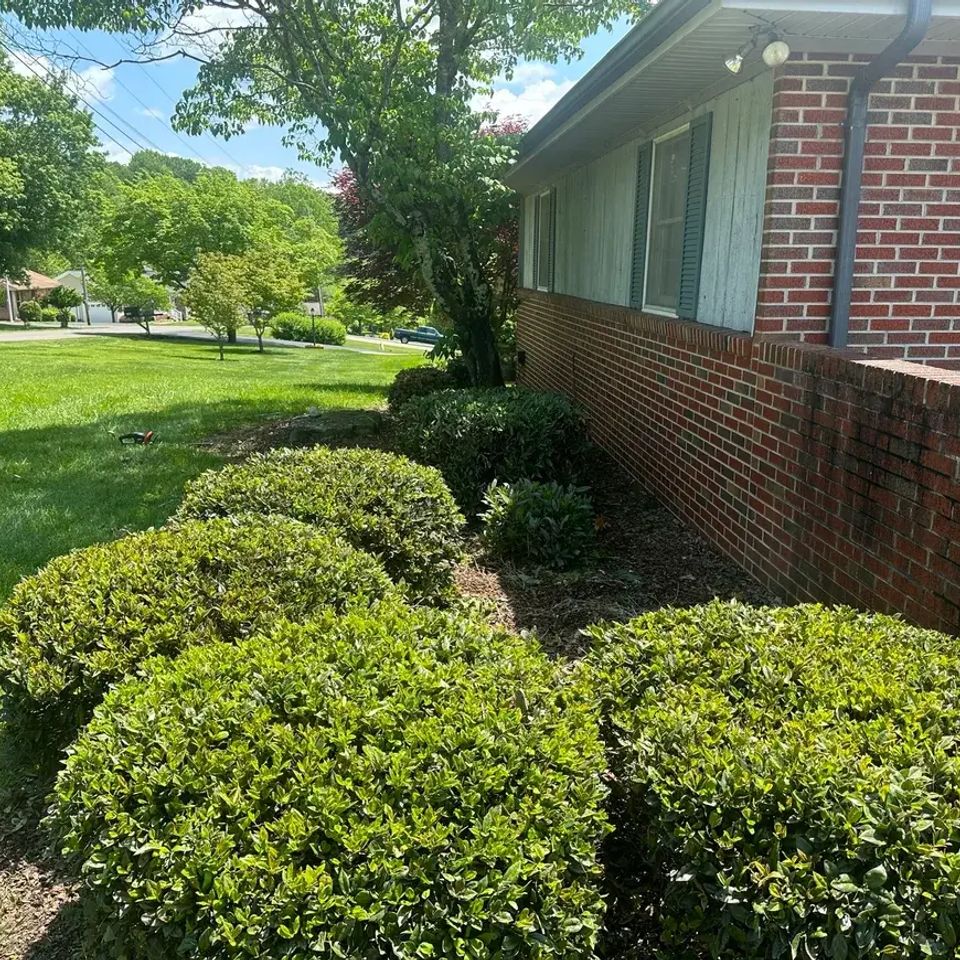 Hedge3