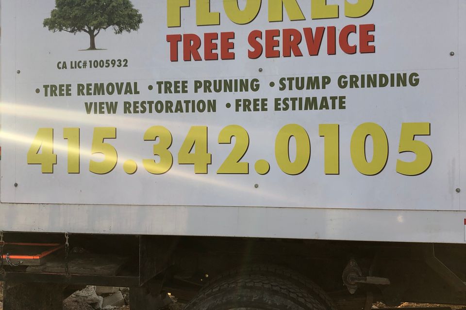 62870387056  911a87c0 e6ca 4ecd bbe6 52323d654258 (1)