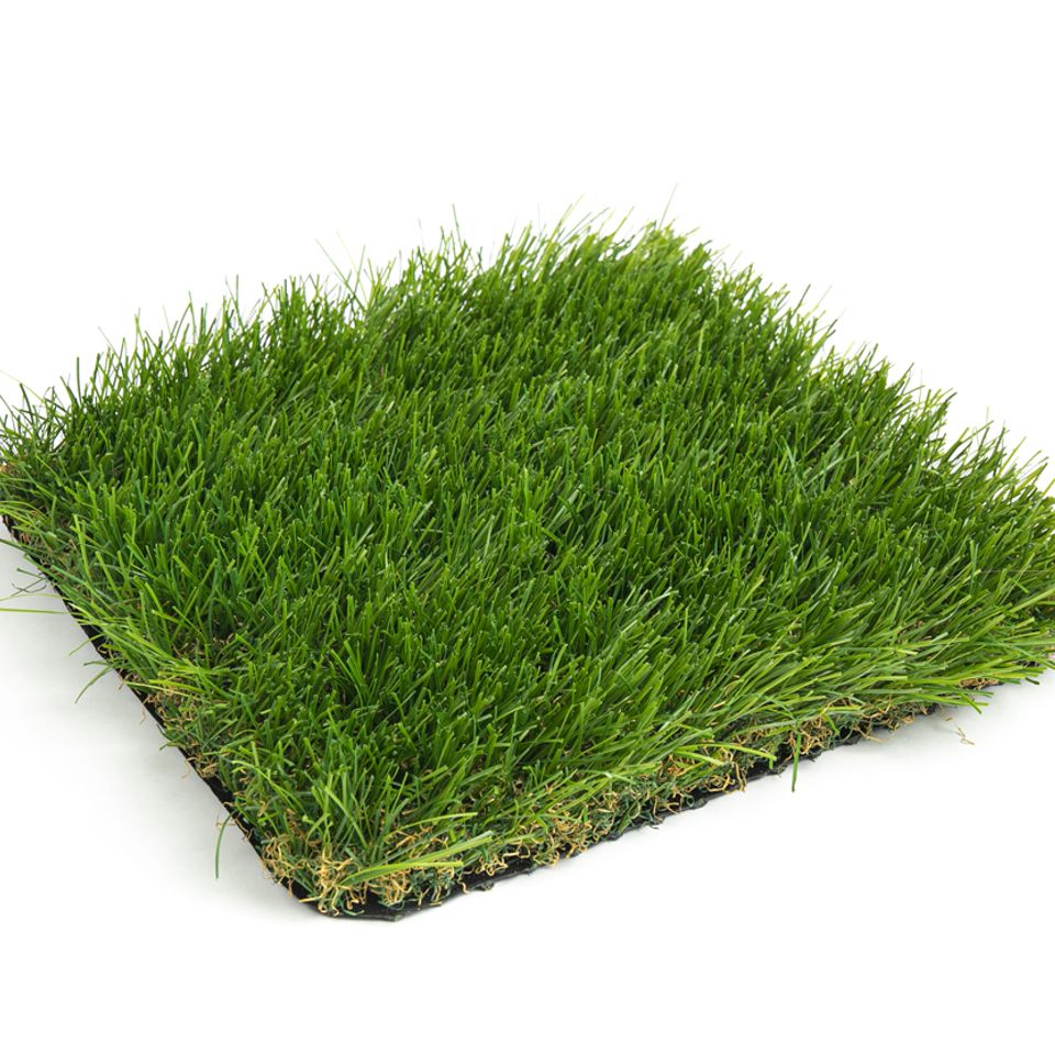 Ultra 276 Crown Spring Mountain lawn grass