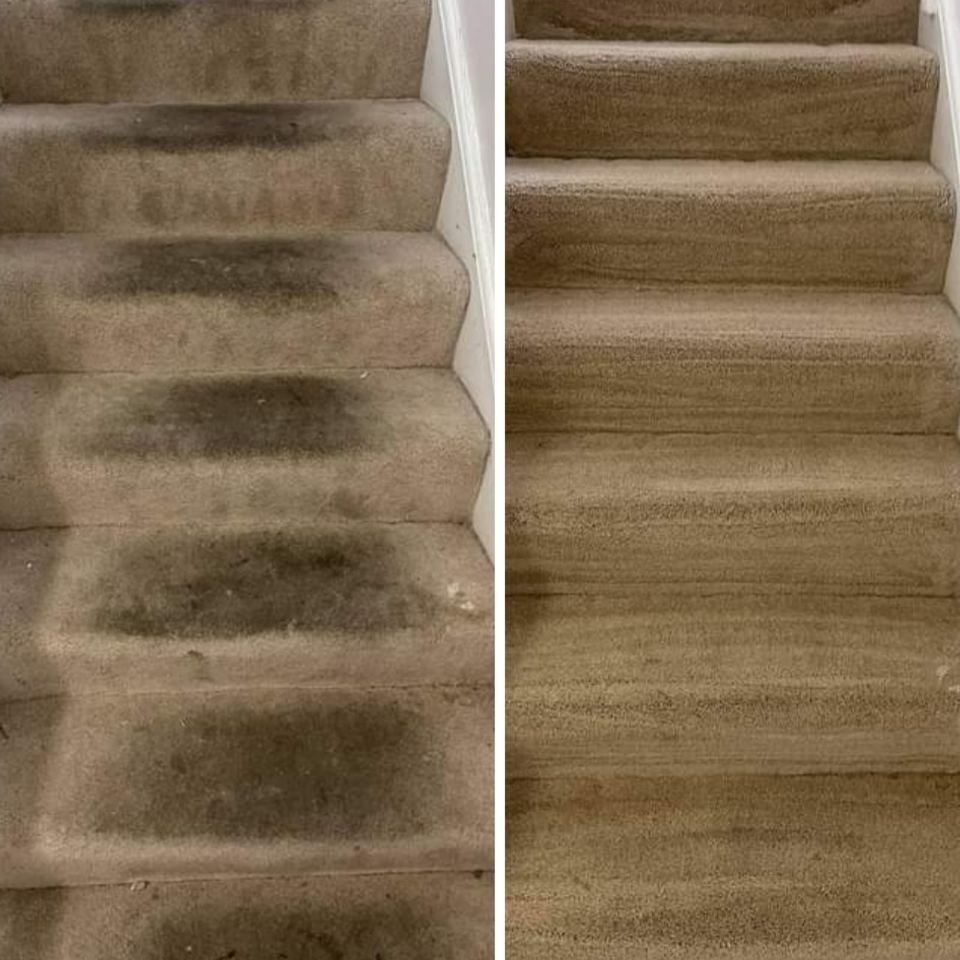 Stairs carpet cleaning by TNC Idaho