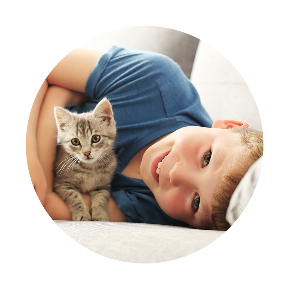 Icons upholstery dkbg kidsandpets