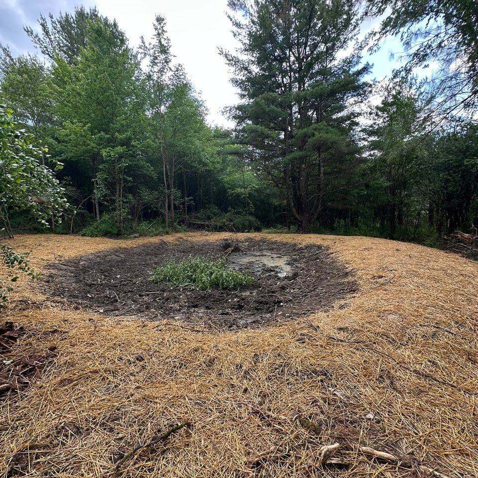Img 1478