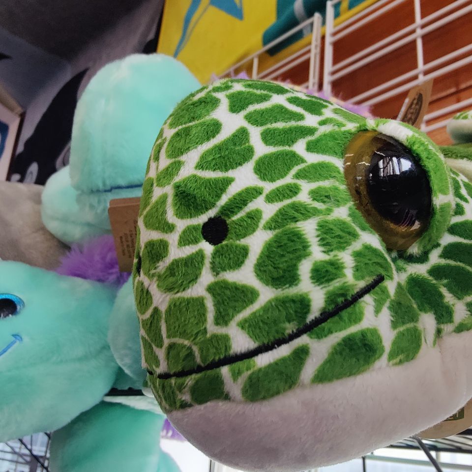 Turtle