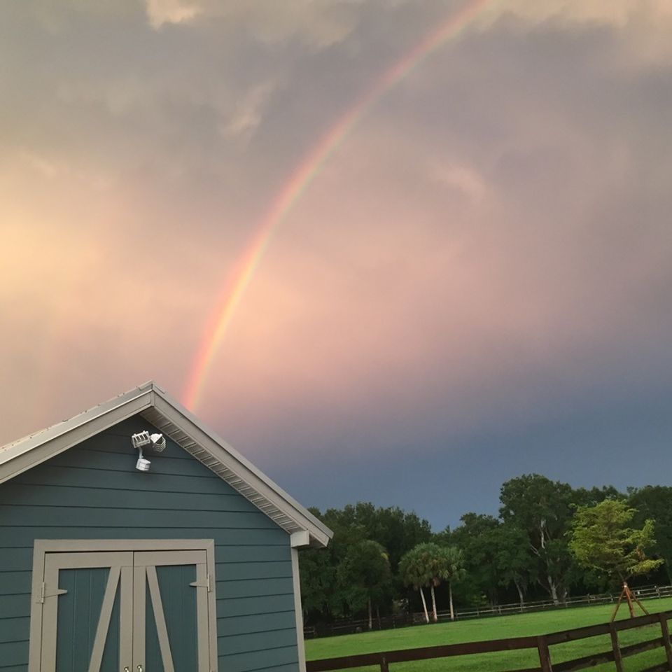 8246658 orig20180123 26621 s6d98q