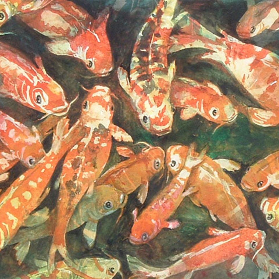 Feeding frenzy lg
