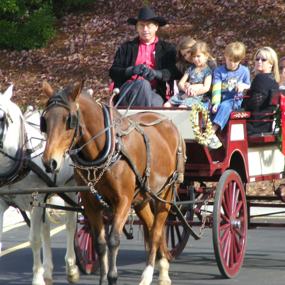 Holiday horse and wagon2