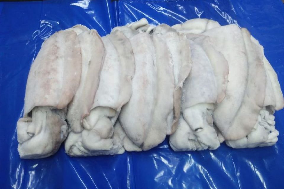 Frozen whole cuttle fish 1566548552 5052770