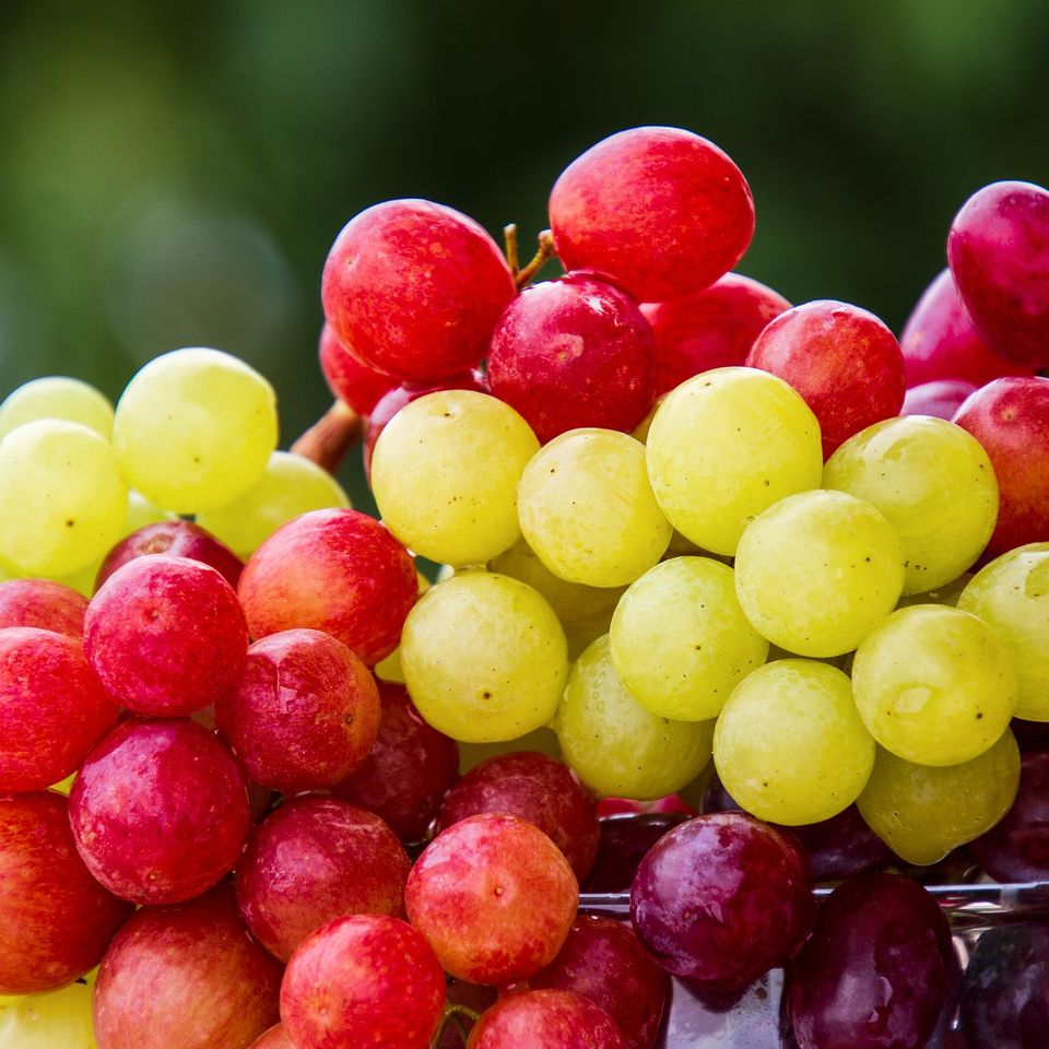 Grapes ge8b0918d1 1920