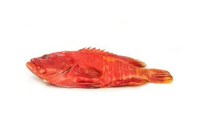 Grouper strawberry 2 1