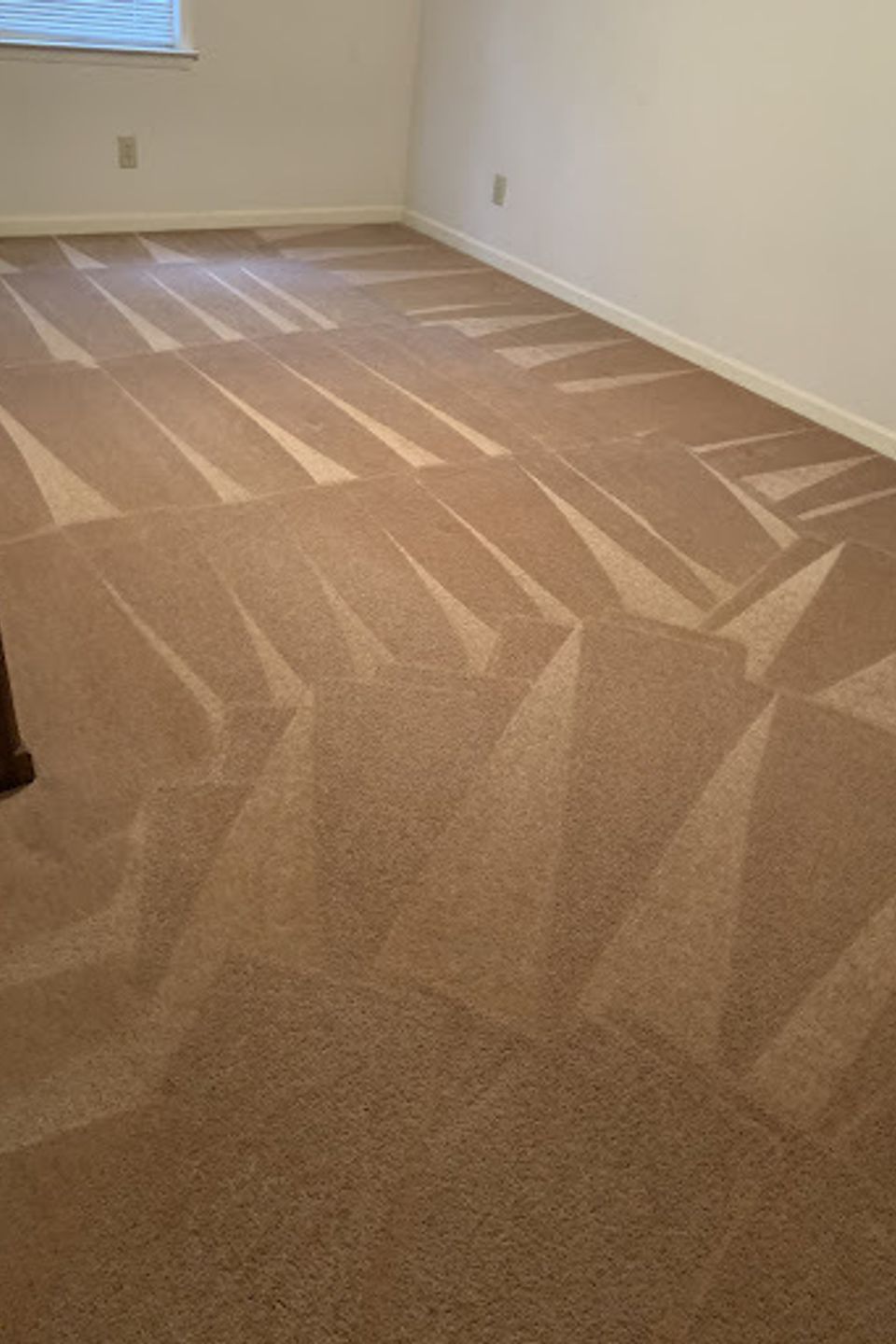 Carpet22