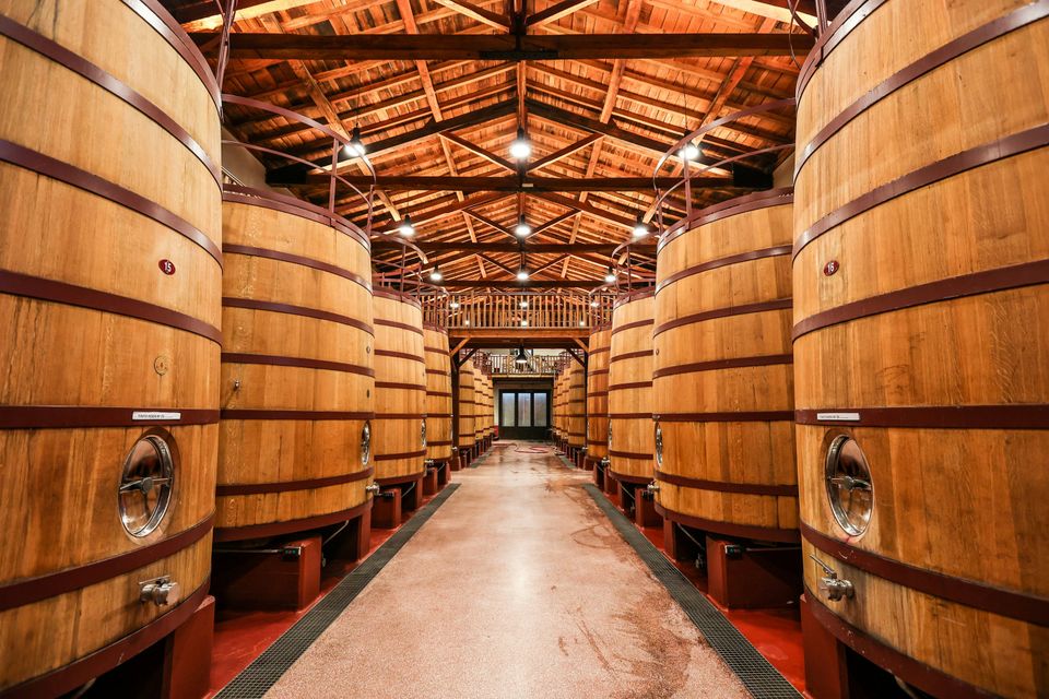 Mario la pergola dsy0fsh97kk unsplash